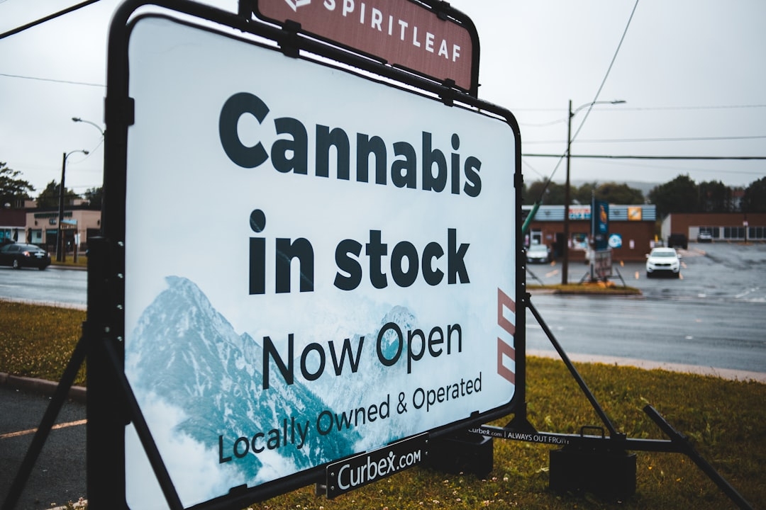 Cannabis Vapes in Venice CA | Vape Cartridge Guide